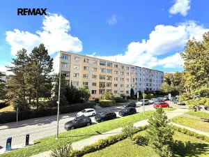 Prodej bytu 1+kk, Praha - Záběhlice, Hvozdíková, 24 m2