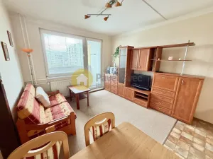 Pronájem bytu 1+1, Písek - Pražské Předměstí, Na Pěníku, 43 m2