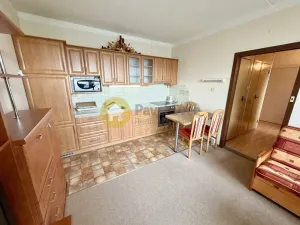 Pronájem bytu 1+1, Písek - Pražské Předměstí, Na Pěníku, 43 m2