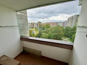 Pronájem bytu 1+1, Písek - Pražské Předměstí, Na Pěníku, 43 m2