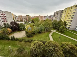 Pronájem bytu 1+1, Písek - Pražské Předměstí, Na Pěníku, 43 m2