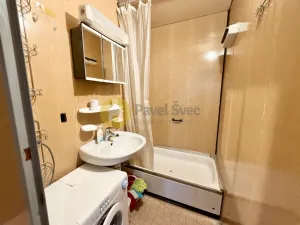 Pronájem bytu 1+1, Písek - Pražské Předměstí, Na Pěníku, 43 m2