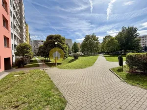 Pronájem bytu 1+1, Písek - Pražské Předměstí, Na Pěníku, 43 m2