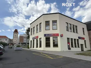 Pronájem ordinace, Mělník, Nová, 42 m2