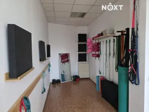 Pronájem ordinace, Mělník, Nová, 42 m2
