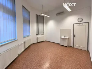 Pronájem ordinace, Mělník, Nová, 42 m2