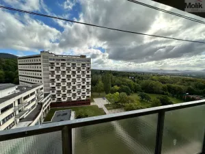 Pronájem bytu 2+kk, Litvínov - Horní Litvínov, Koldům, 48 m2