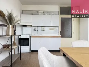 Prodej bytu 1+1, Ostrov, Jungmannova, 37 m2