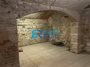 Pronájem - jiné, Praha - Vinohrady, Máchova, 61 m2