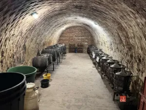 Prodej chaty, Dolní Bojanovice, Hlavní, 46 m2
