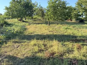 Prodej chaty, Dolní Bojanovice, Hlavní, 46 m2