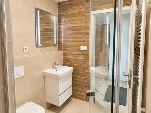 Prodej bytu 1+kk, Plzeň, Železná, 27 m2