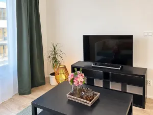 Prodej bytu 1+kk, Plzeň, Železná, 27 m2