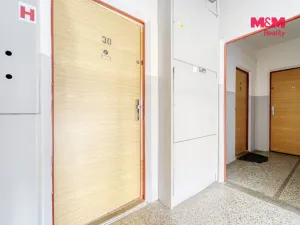 Pronájem bytu 1+kk, Plzeň - Bolevec, Krašovská, 30 m2