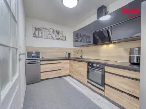 Prodej rodinného domu, Chotěšov, Starý mlýn, 353 m2