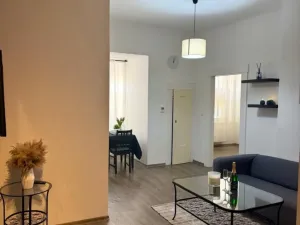 Pronájem bytu 2+1, Plzeň - Východní Předměstí, Guldenerova, 46 m2
