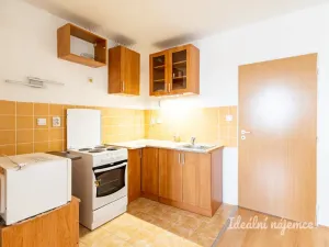 Pronájem bytu 1+kk, Šestajovice, Komenského, 47 m2