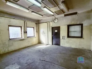 Prodej výrobních prostor, Stříbro - Těchlovice, 320 m2