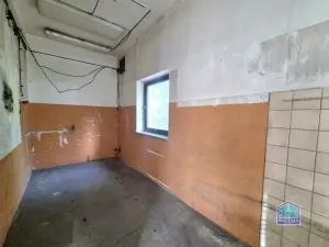 Prodej výrobních prostor, Stříbro - Těchlovice, 320 m2