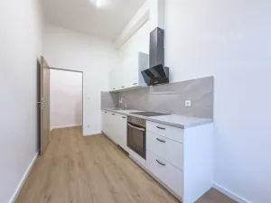 Pronájem bytu 3+1, České Budějovice, Fráni Šrámka, 73 m2