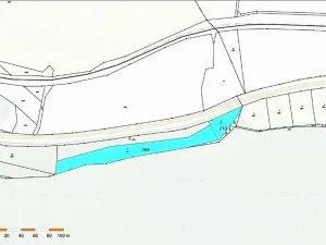 Prodej lesa, Vladislav, 4743 m2