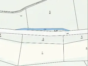 Prodej lesa, Kojetín, 333 m2