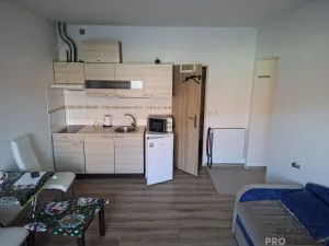 Pronájem bytu 1+kk, Nové Strašecí, Palackého, 25 m2