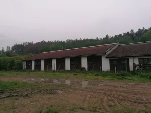 Dražba pole, Velké Meziříčí, 6715 m2