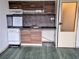 Pronájem bytu 1+1, Děčín - Děčín I-Děčín, Labská, 37 m2