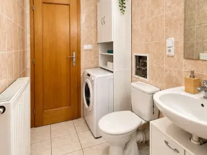 Pronájem bytu 1+kk, Brno, Kosmákova, 23 m2