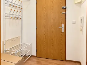 Pronájem bytu 1+kk, Brno, Kosmákova, 23 m2