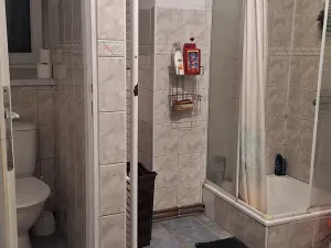 Prodej rodinného domu, Velký Bor, 250 m2