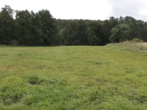 Prodej pole, Tachov, 58887 m2