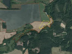 Prodej pole, Tachov, 58887 m2