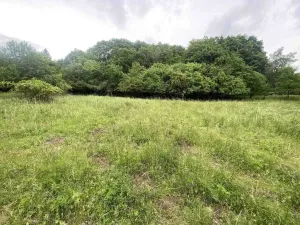 Prodej pole, Třebívlice - Skalice, 12772 m2