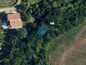 Dražba lesa, Babice u Rosic, 85 m2