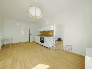 Pronájem bytu 1+1, České Budějovice, Budivojova, 49 m2