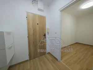 Pronájem bytu 1+1, České Budějovice, Budivojova, 49 m2