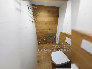 Pronájem bytu 1+1, České Budějovice, Budivojova, 49 m2