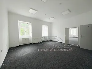 Pronájem kanceláře, České Budějovice, Kanovnická, 210 m2