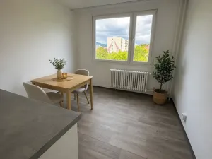 Pronájem bytu 1+1, Litvínov, U Bílého sloupu, 40 m2
