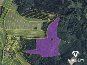 Prodej podílu lesa, Městečko Trnávka, 3234 m2