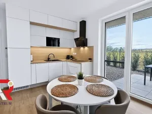 Prodej bytu 1+kk, Pasohlávky, 41 m2