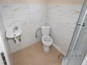 Pronájem bytu 3+1, Liberec, 8. března, 110 m2
