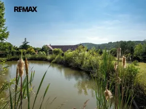 Prodej vícegeneračního domu, Předenice, 399 m2
