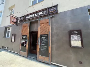 Pronájem restaurace, Brno, Purkyňova, 243 m2