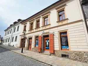 Pronájem obchodního prostoru, Písek, Smetanova, 21 m2