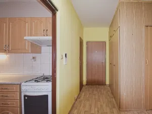 Pronájem bytu 2+1, Plzeň - Severní Předměstí, Elišky Krásnohorské, 57 m2