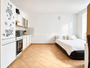 Prodej vícegeneračního domu, Jihlava, Brněnská, 300 m2