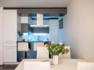 Prodej bytu 2+kk, Praha - Vysočany, Pod Harfou, 58 m2